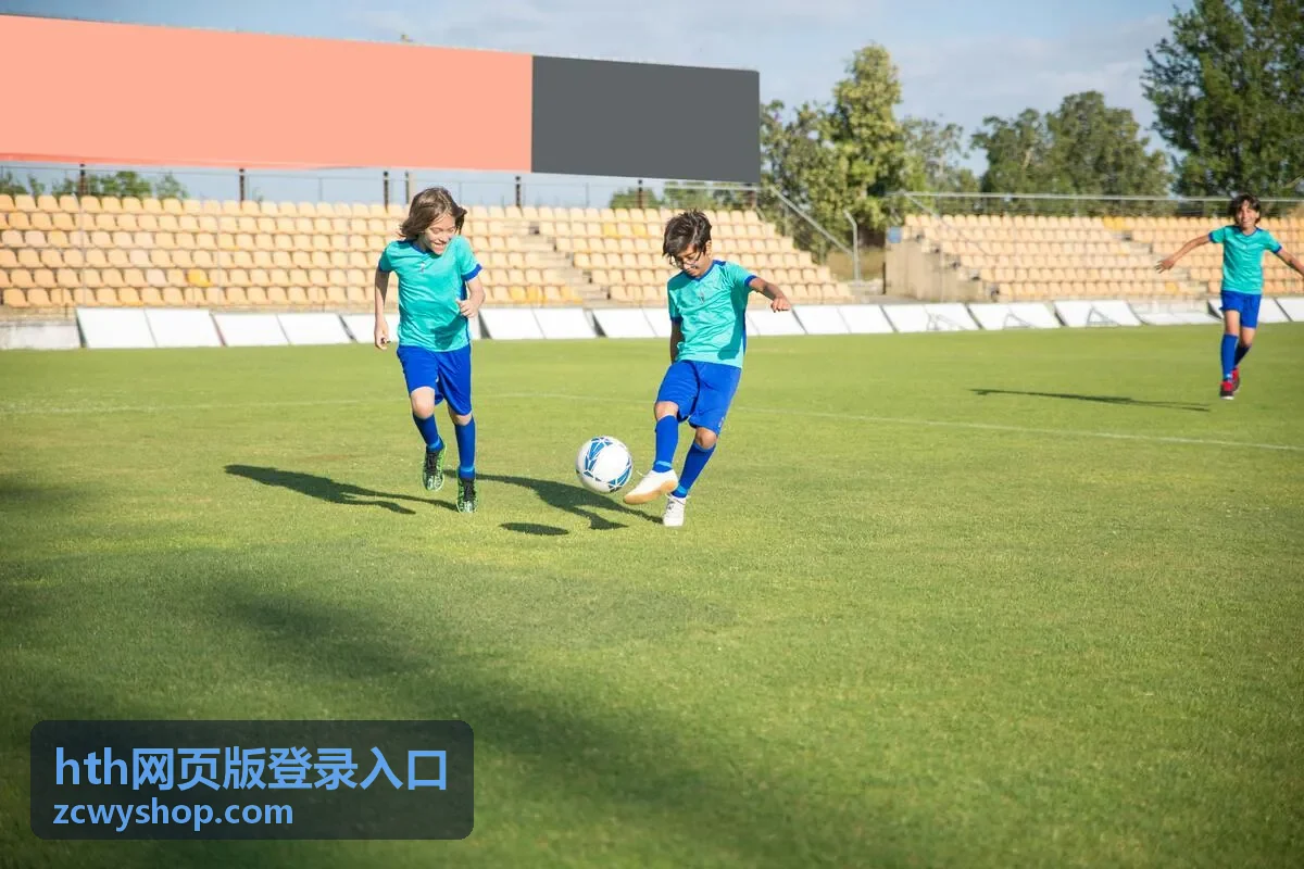 hth网页版登录入口验证码与二次验证适用场景示意