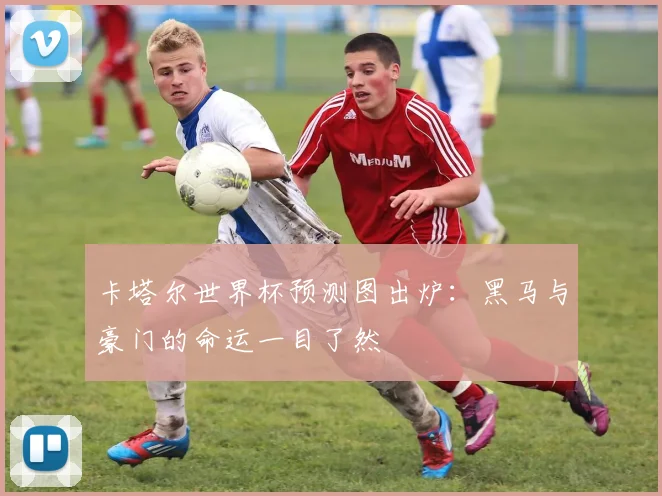 卡塔尔世界杯预测图出炉：黑马与豪门的命运一目了然