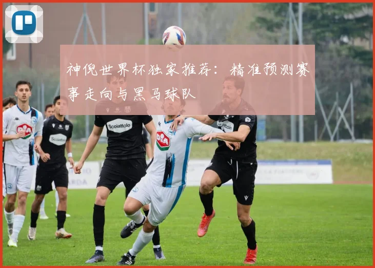 神倪世界杯独家推荐：精准预测赛事走向与黑马球队