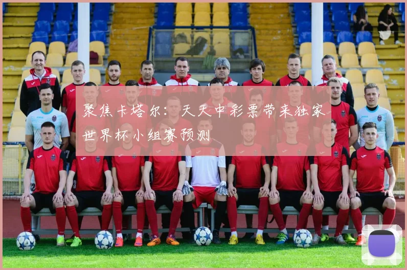 聚焦卡塔尔：天天中彩票带来独家世界杯小组赛预测